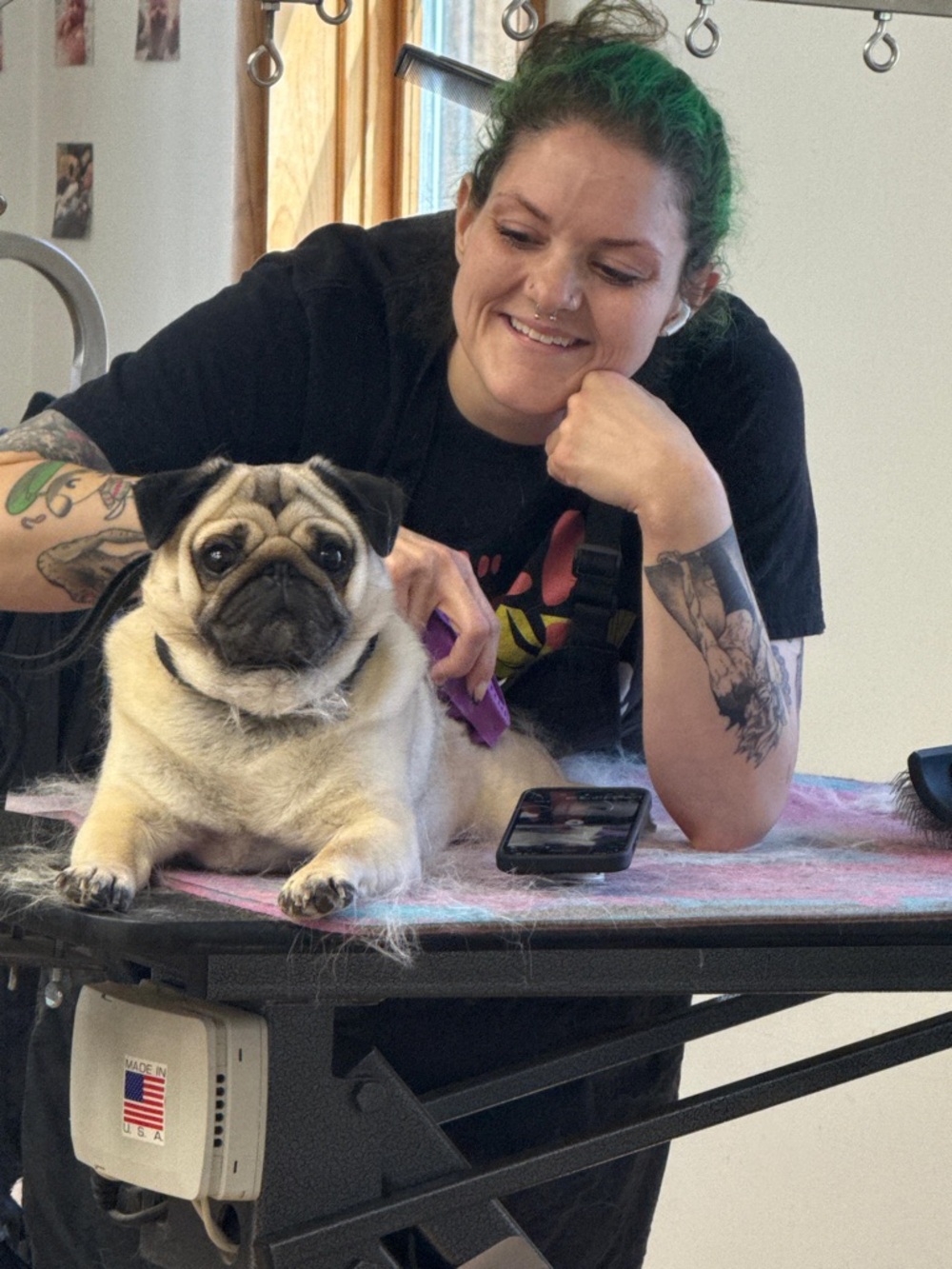 Meet your Posher, Amy